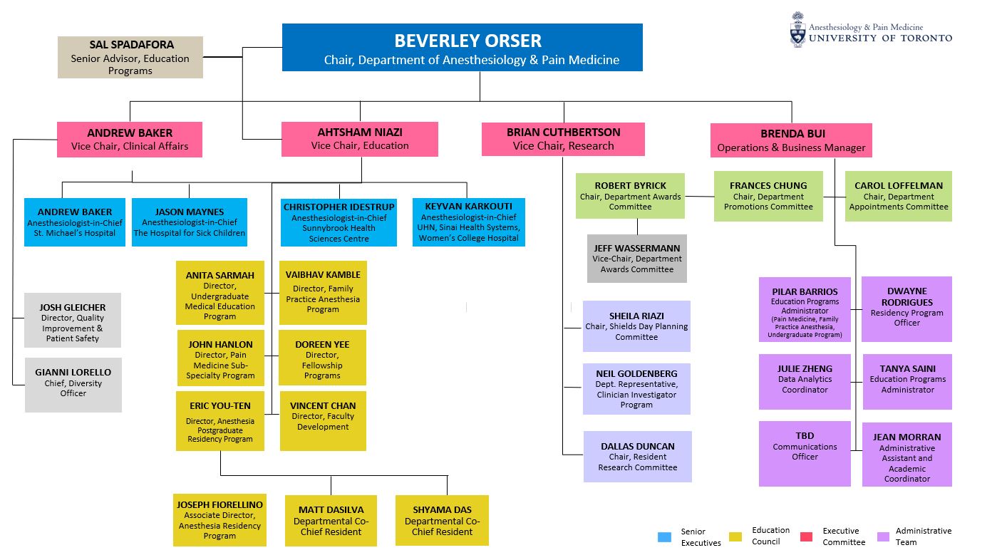 Department of Anesthesia and Pain Medicine Org Chart Department of Anesthesia and Pain Medicine Org Chart