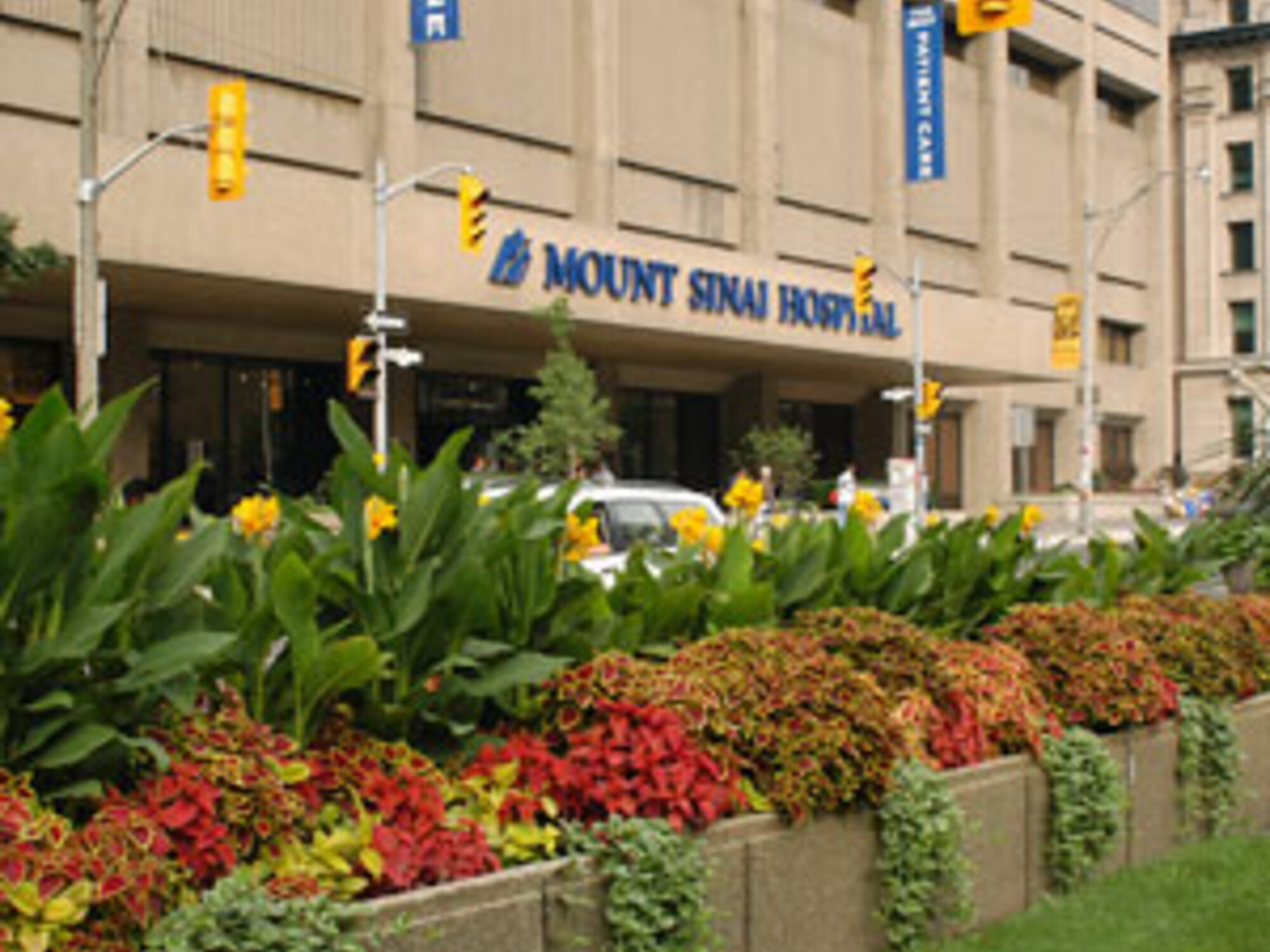 Mount Sinai Hospital Department of Anesthesiology and Pain Medicine