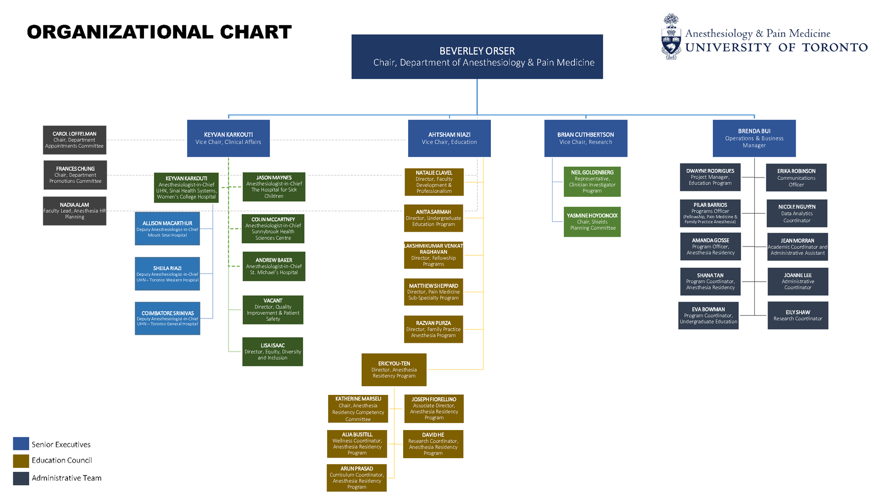 Department of Anesthesiology & Pain Medicine Organizational Chart
